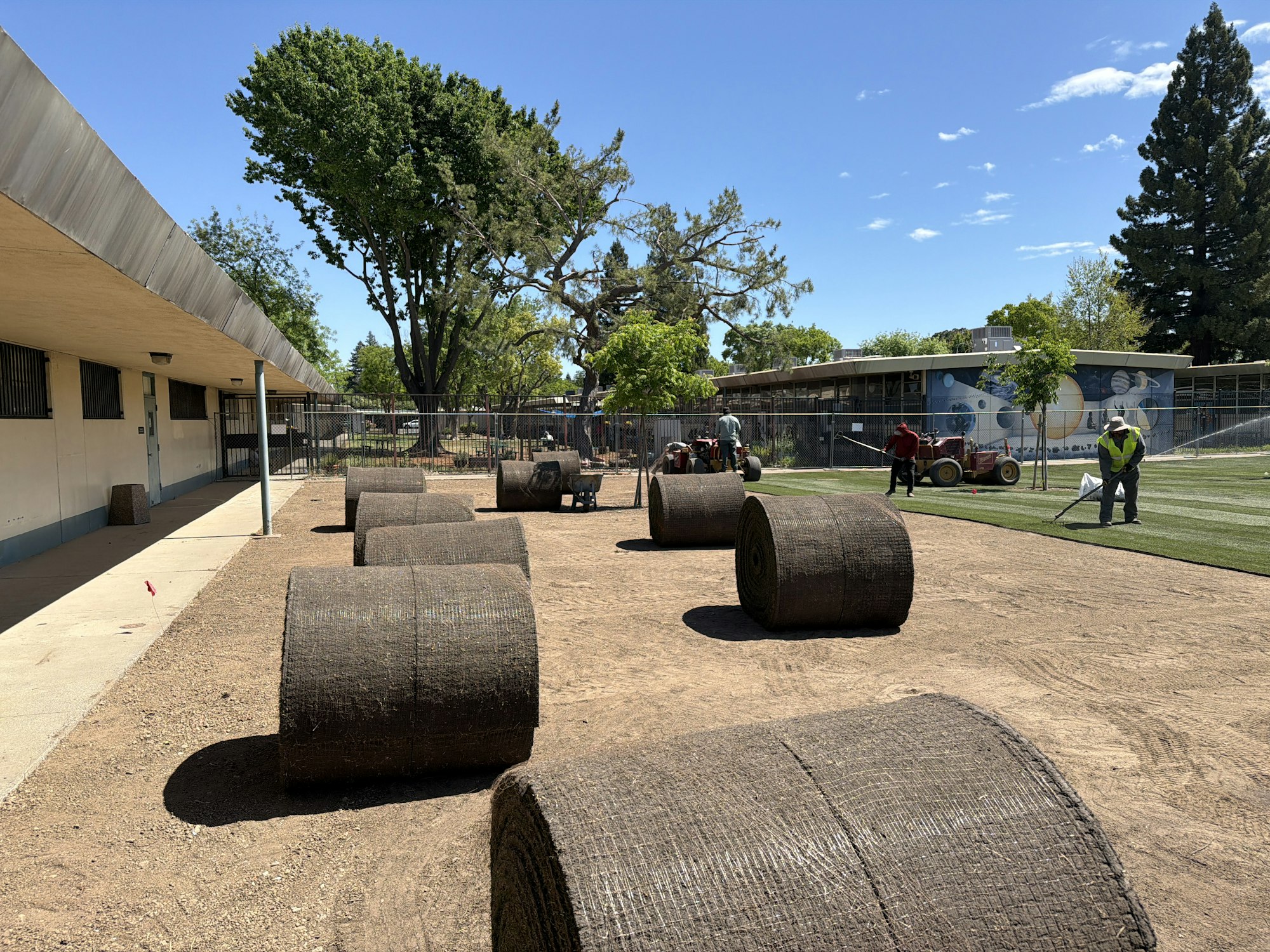 A grassy area with rolled sod being laid down, workers using machinery, and a school building in the background under a blue sky.