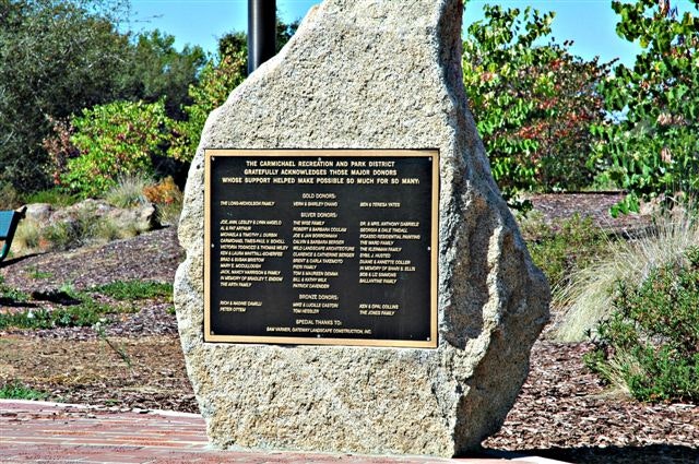 May contain: plaque