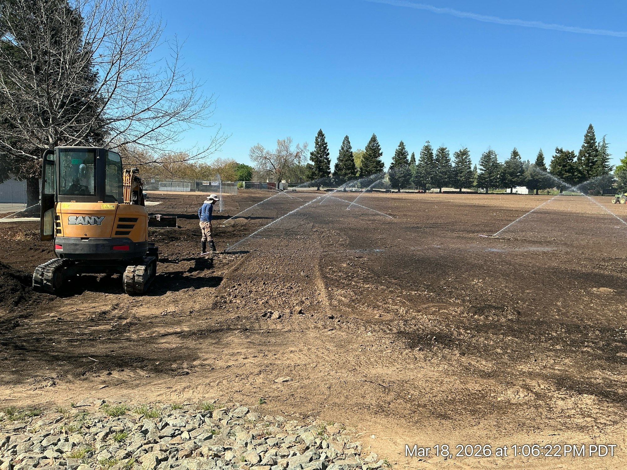 May contain: soil, person, plant, tree, machine, fir, gravel, and road