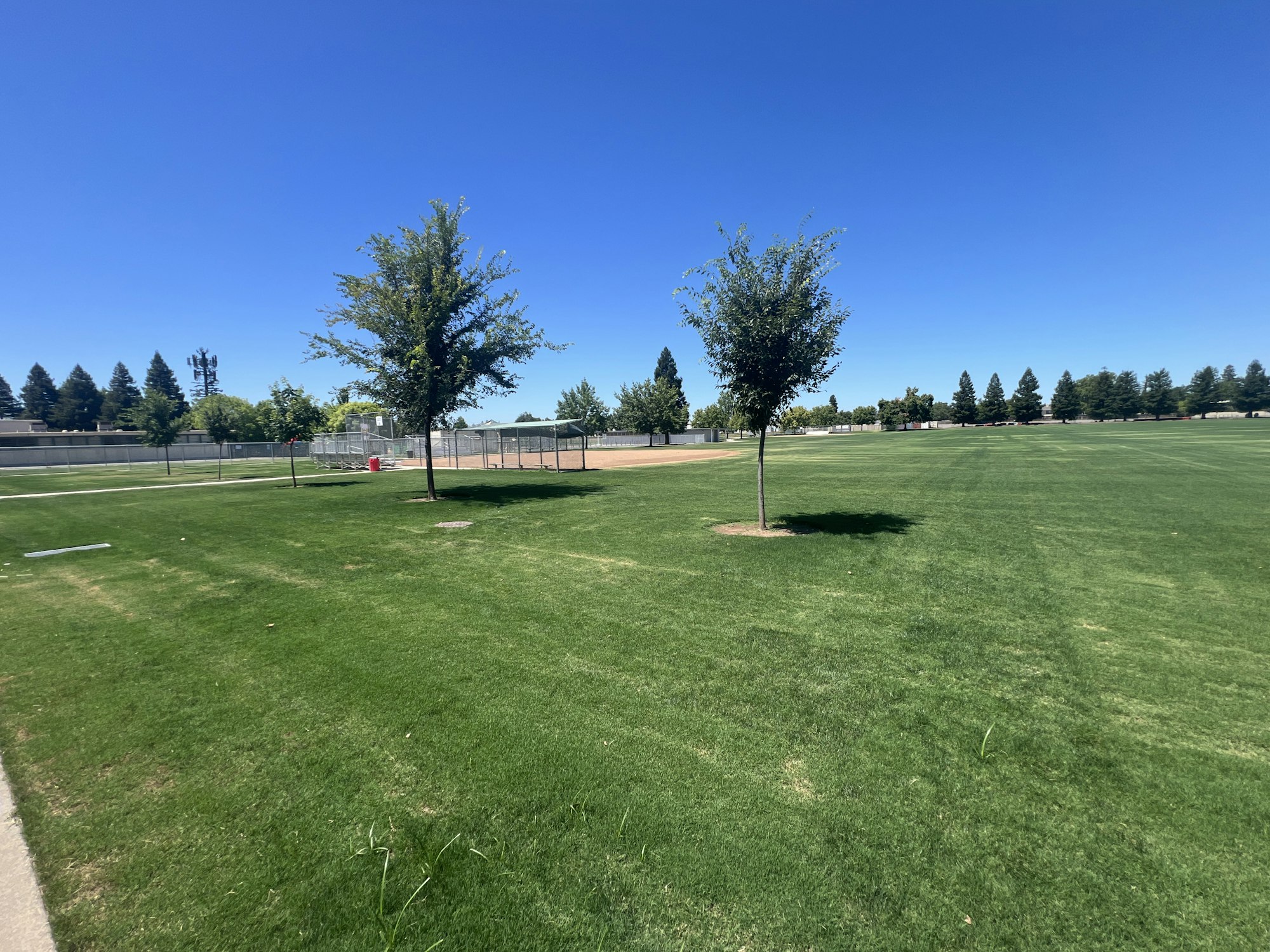 A sunny park with lush green grass, a few trees, and a baseball diamond in the background under a clear blue sky.