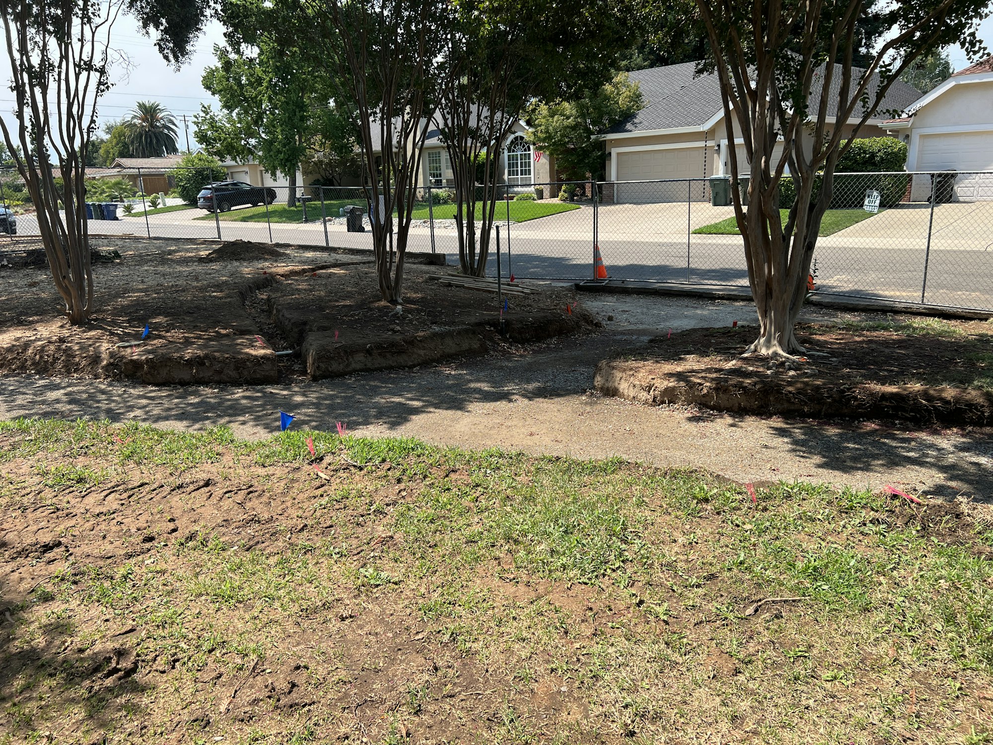 Yard with trees, dirt patches, small flags marking areas, and a fenced-off street with cones.