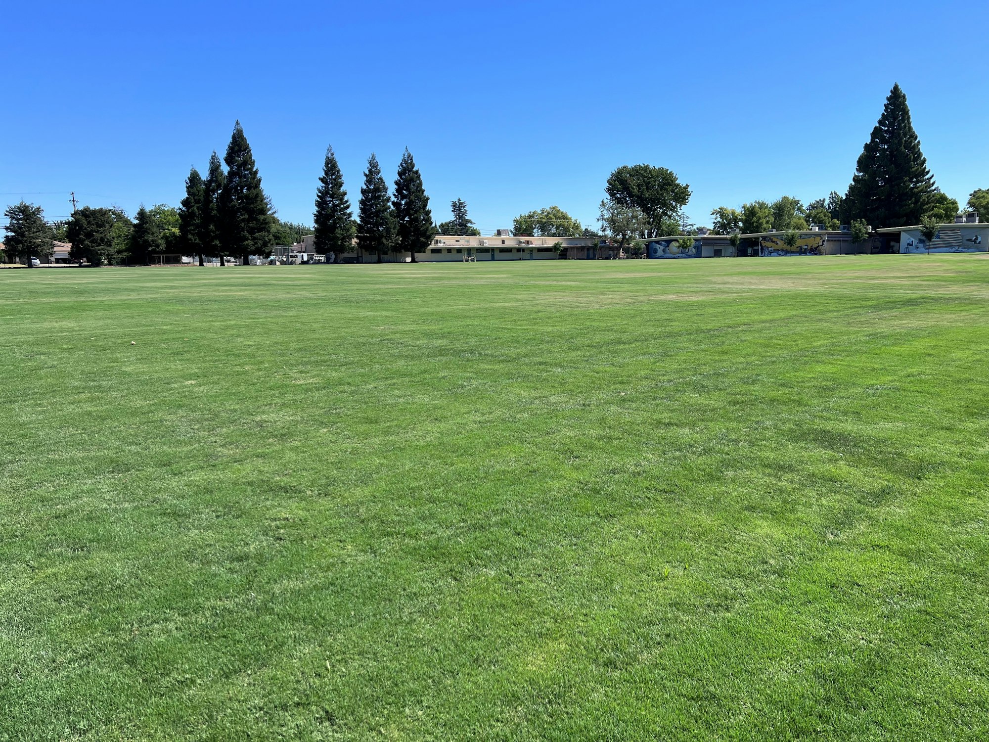 A wide open green field with a clear blue sky and trees lining the edges, creating a peaceful outdoor setting.