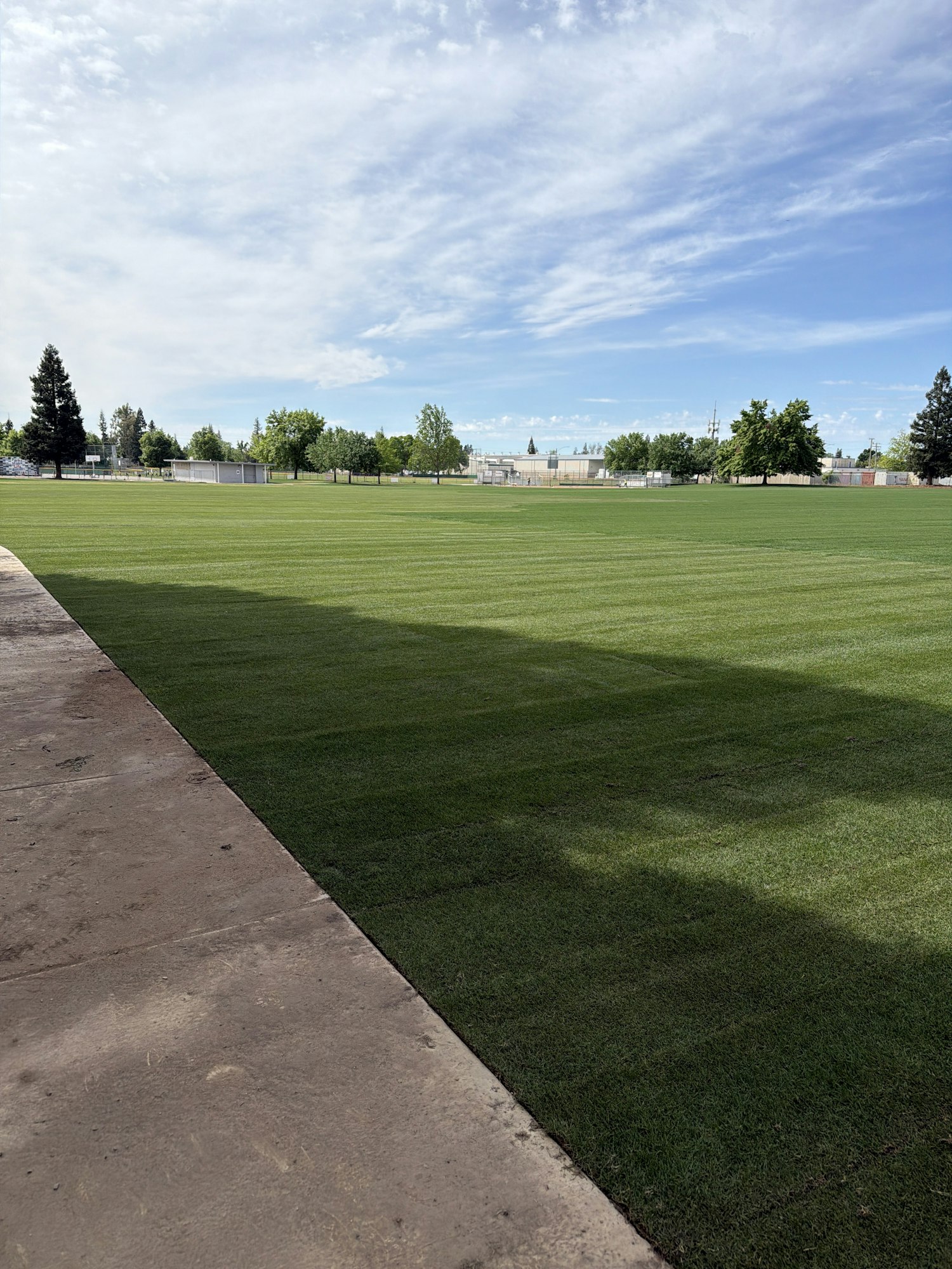 A well-maintained green field with neatly striped grass under a blue sky, surrounded by trees and buildings in the background.