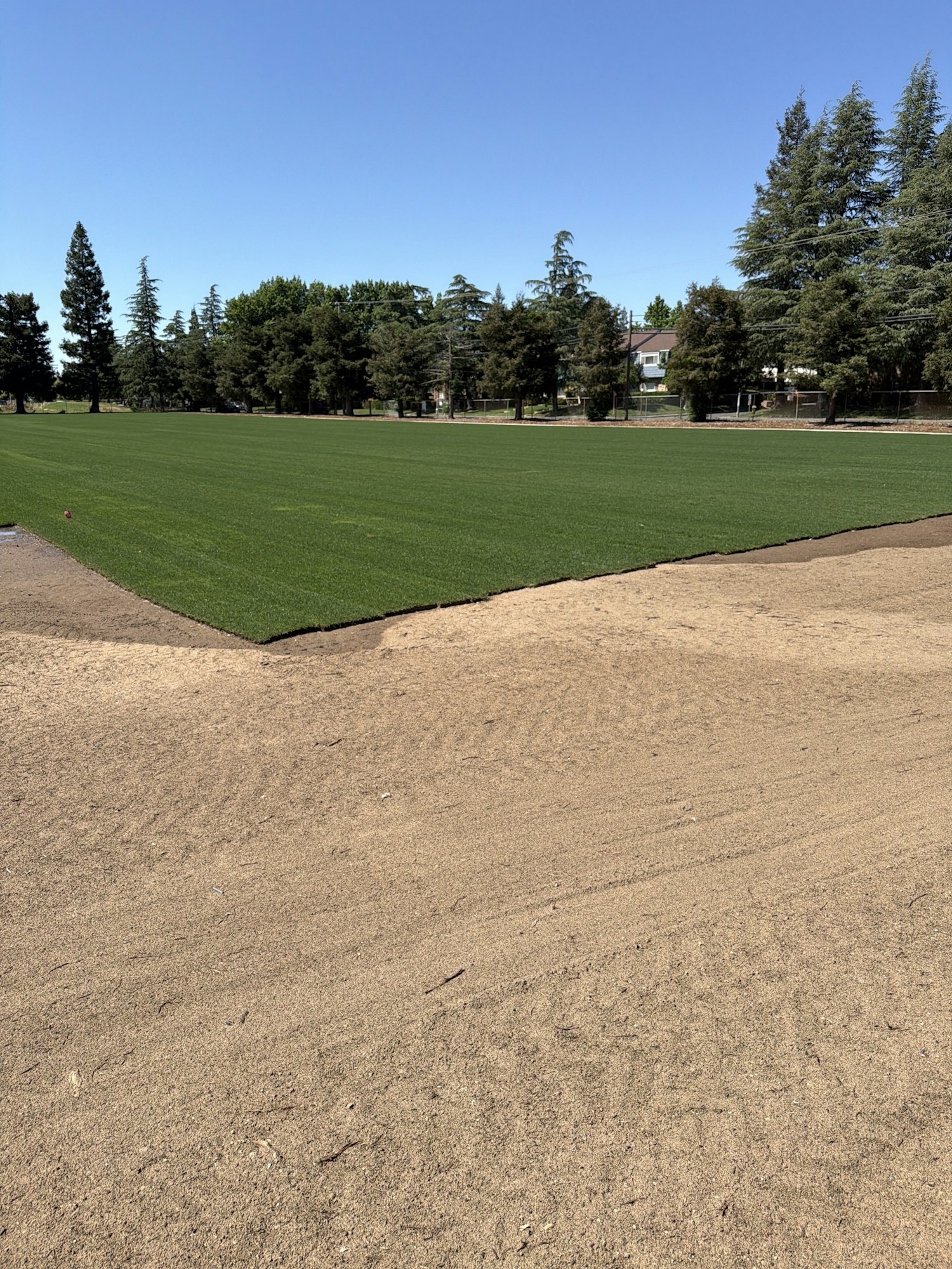 A sunny field with freshly laid grass, bordered by tan dirt, surrounded by trees and clear blue skies.