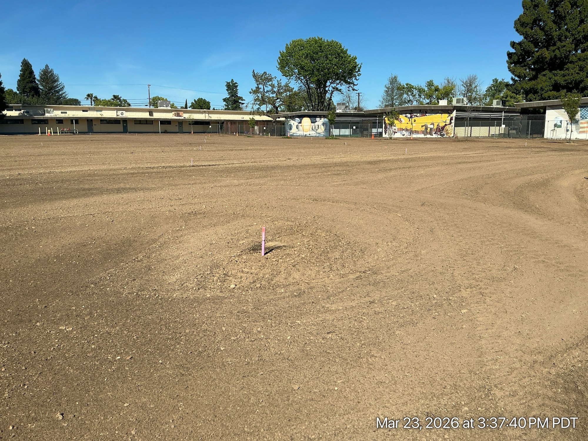 An empty, dry field with some pink marker flags and a building in the background under a clear blue sky.