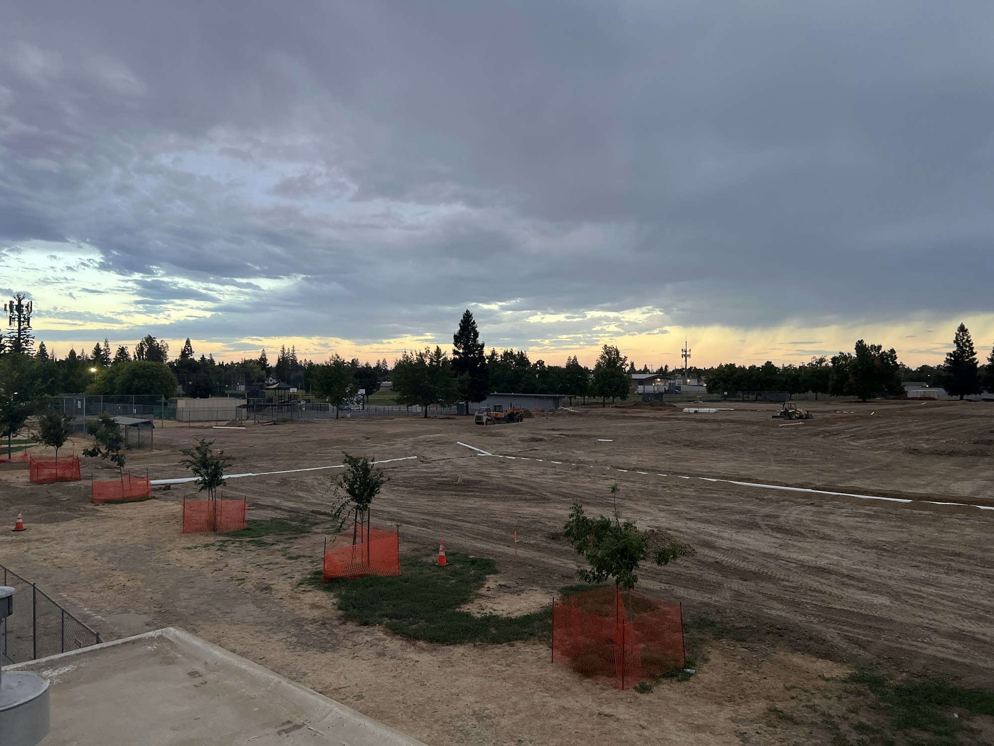 A construction site with trees fenced in orange netting, machinery, and a cloudy sky at dawn or dusk.
