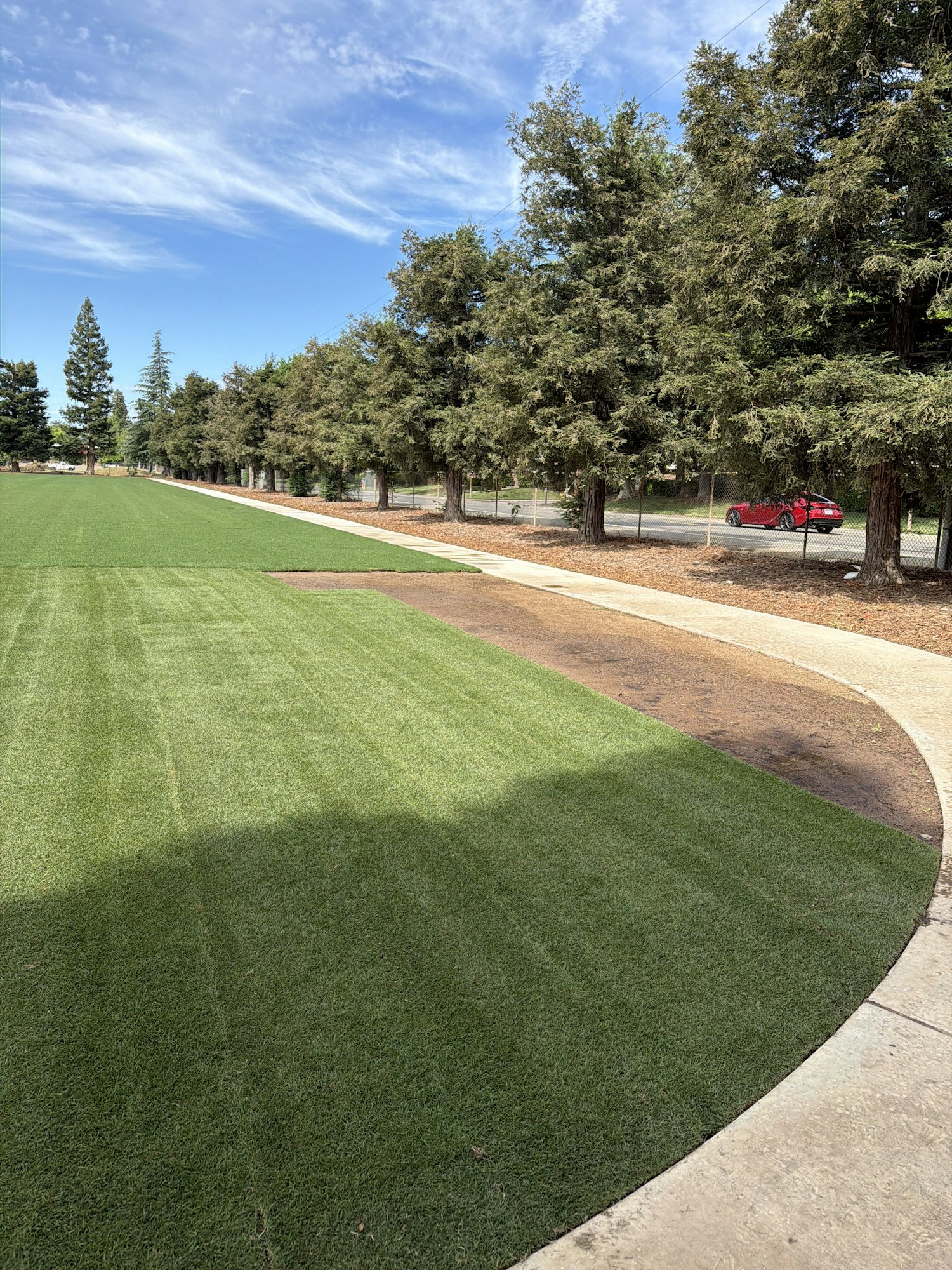 A lush green lawn bordered by a concrete path and trees, with a clear blue sky in the background.
