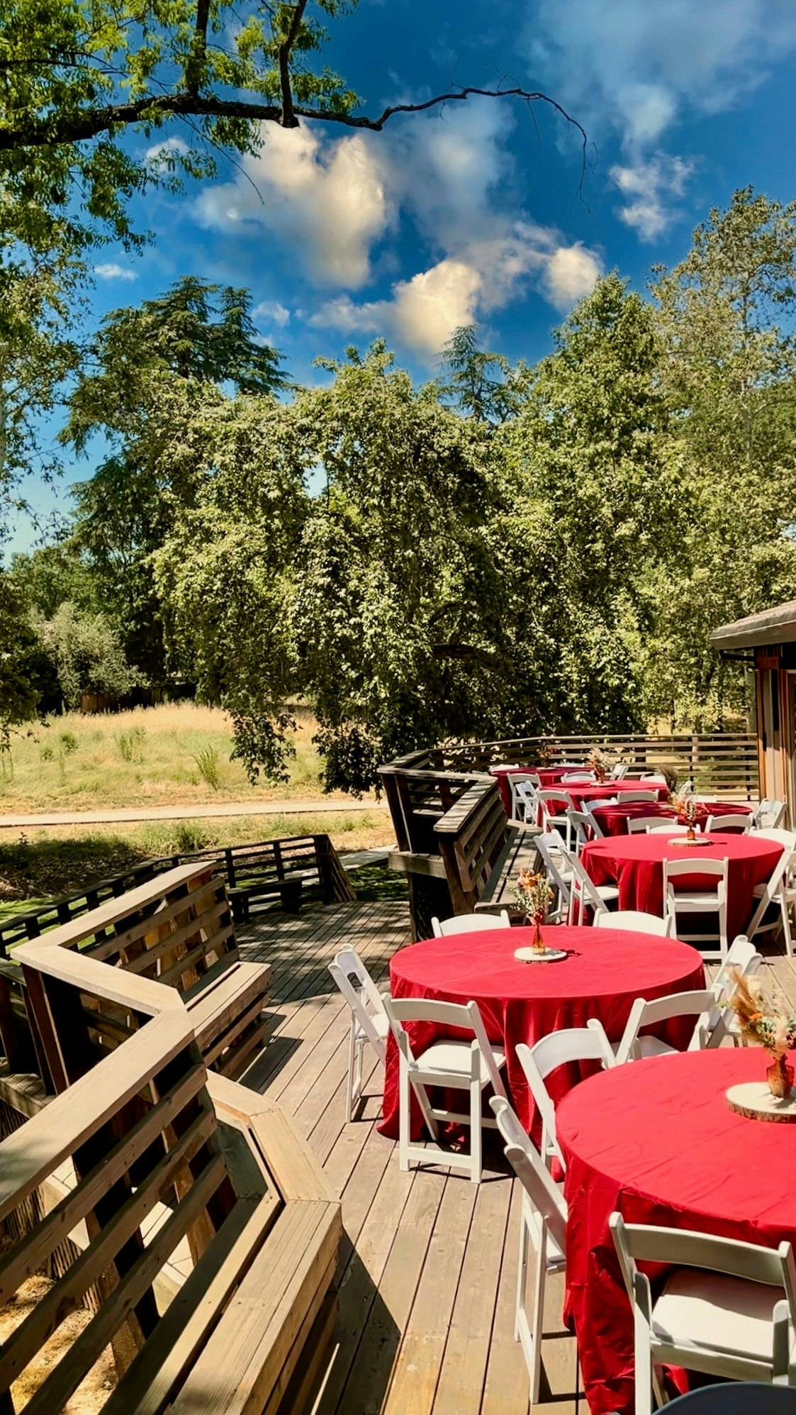 Outdoor dining area with red-clothed tables and white chairs on a wooden deck surrounded by trees and a sunny blue sky.