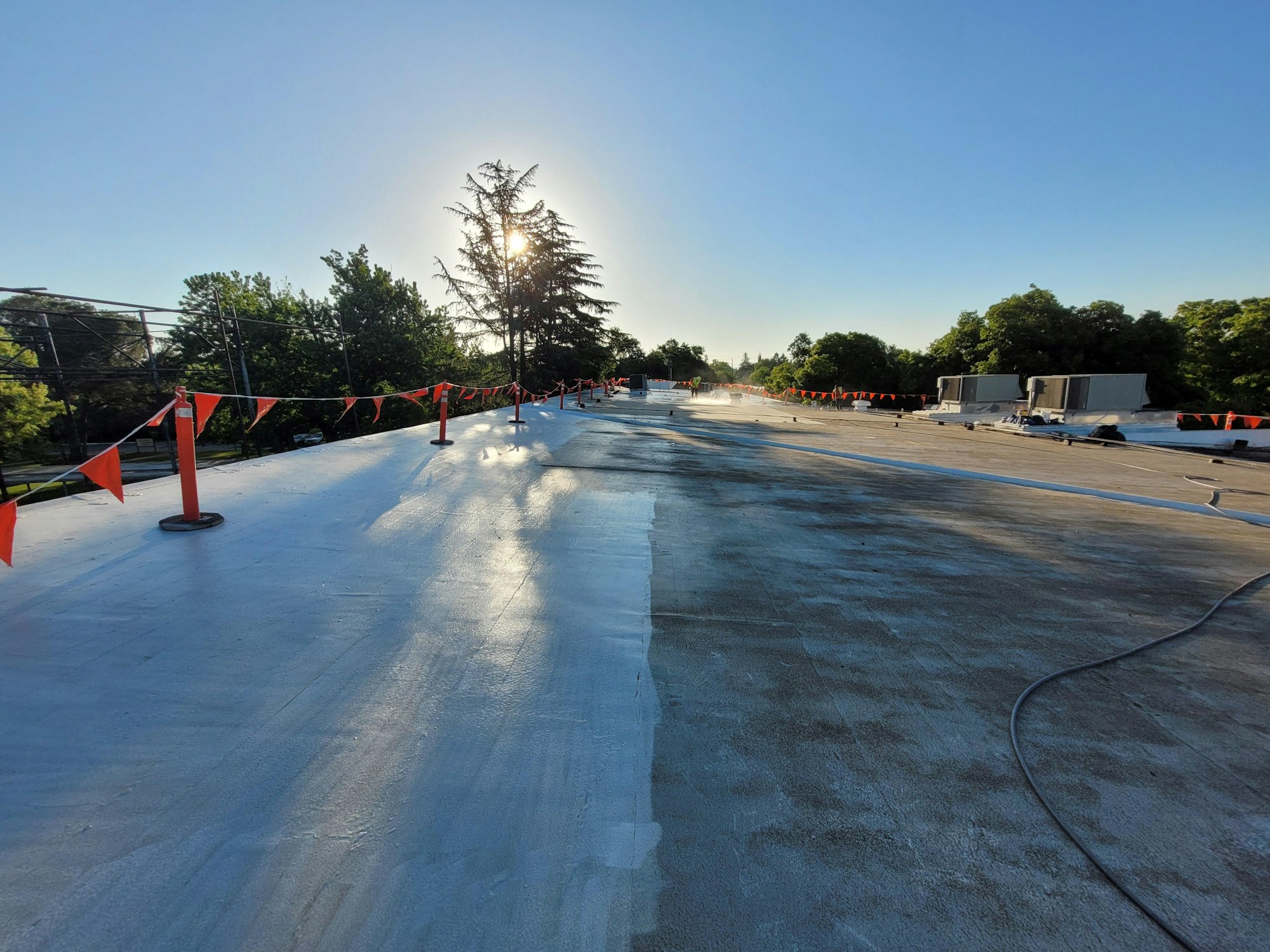 Freshly coated road with orange safety barriers, trees, and rising sun in the background.