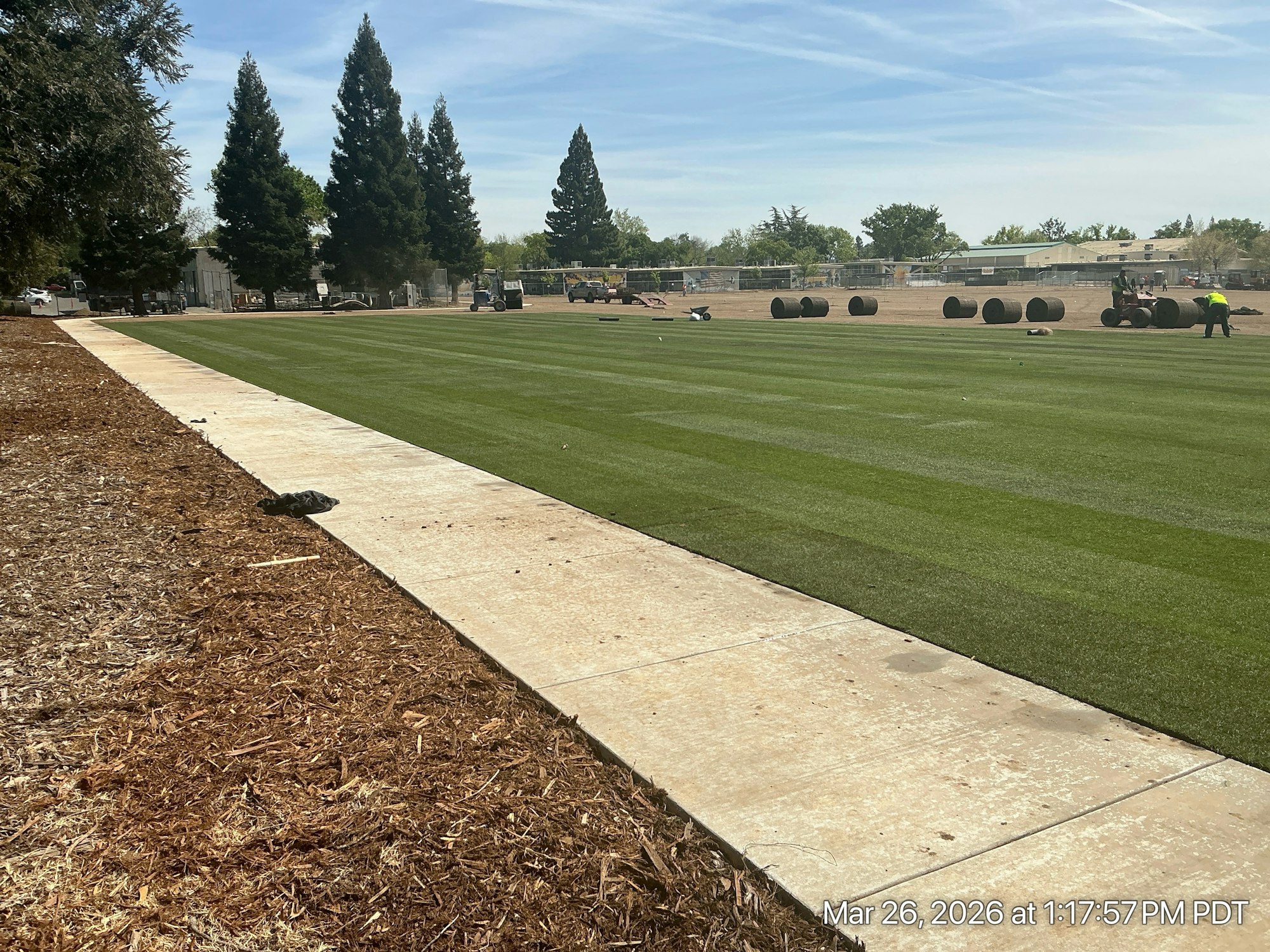 The image shows a grassy area with freshly laid sod, bordered by a concrete sidewalk and surrounded by trees.