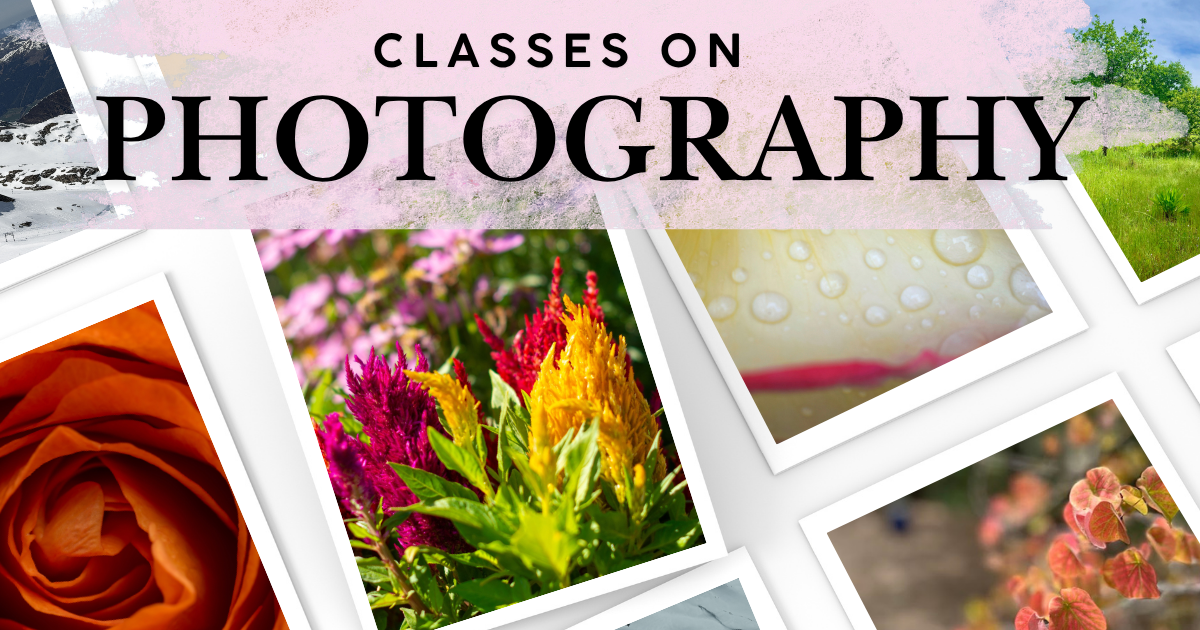 The image promotes photography classes featuring vibrant floral and nature photography.