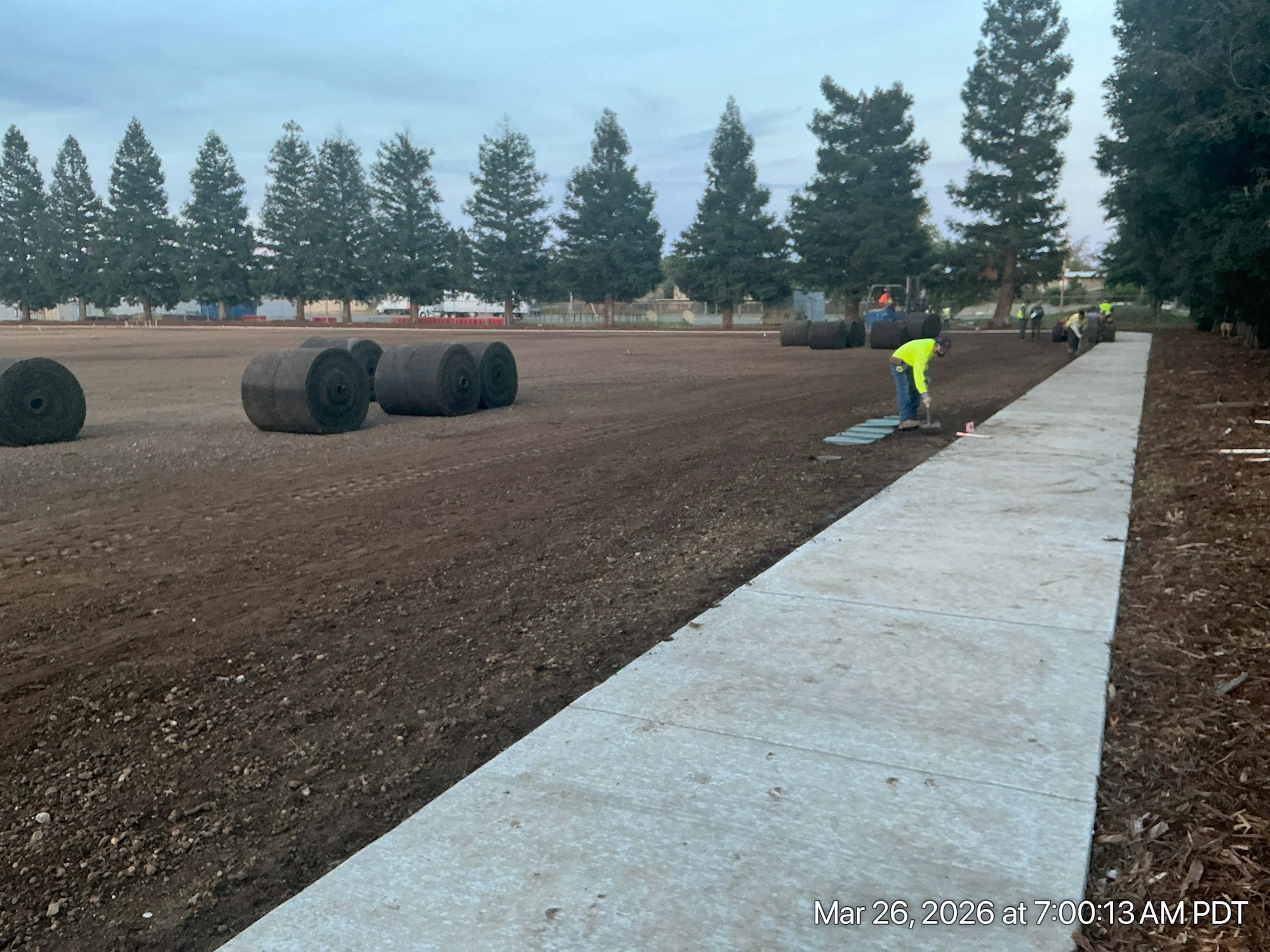 Image shows workers laying down sod rolls on a dirt field, with a concrete path and trees in the background.