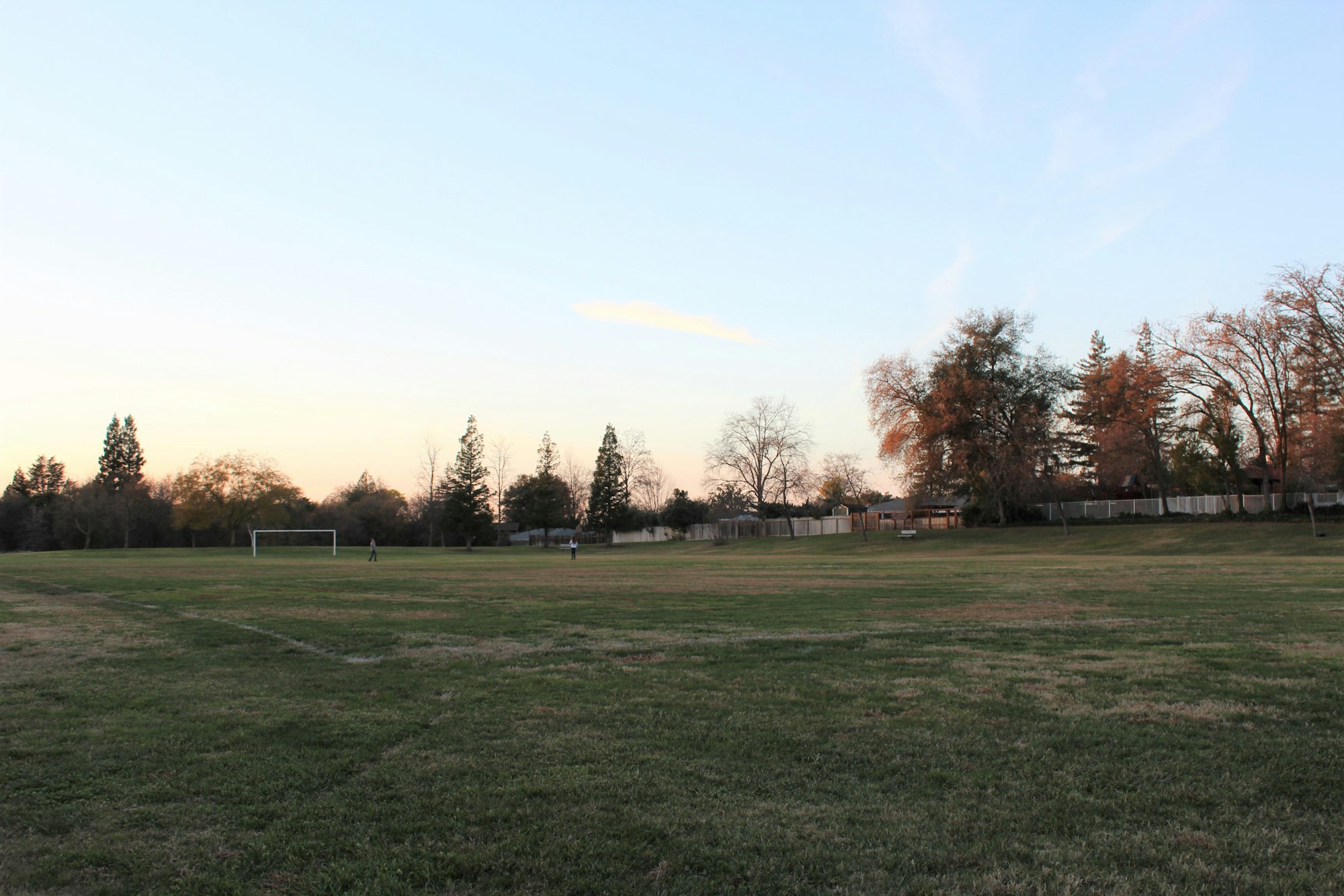 May contain: grass, plant, field, park, lawn, and outdoors