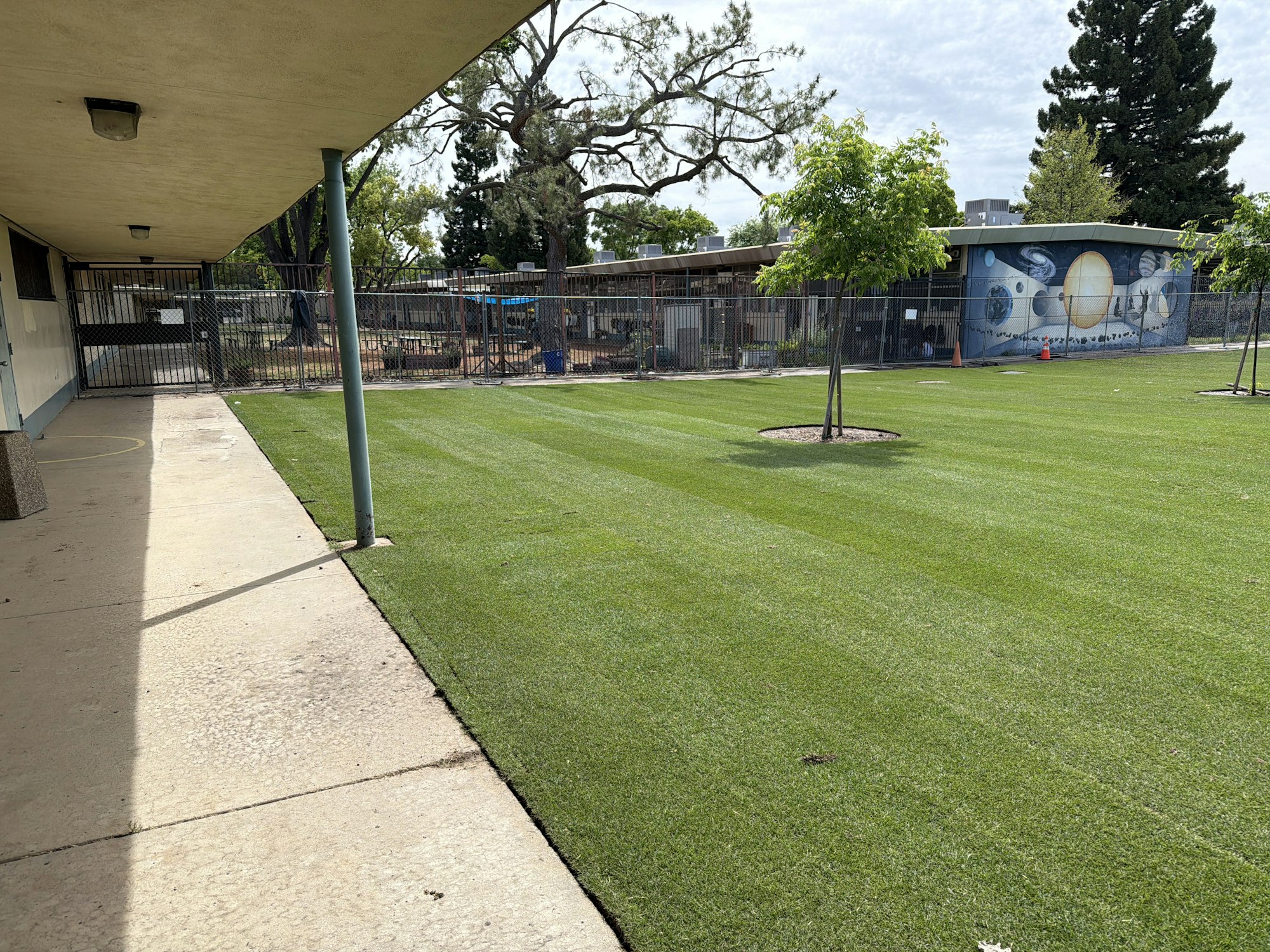 A grassy area with trees, a building, and a fenced section, likely at a school or recreational space. Bright and well-maintained.