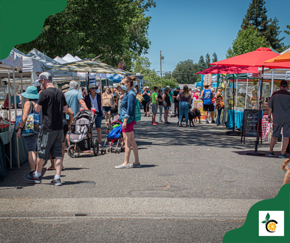 A lively outdoor market scene with people browsing stalls, some with strollers and a dog, under colorful tents on a sunny day.