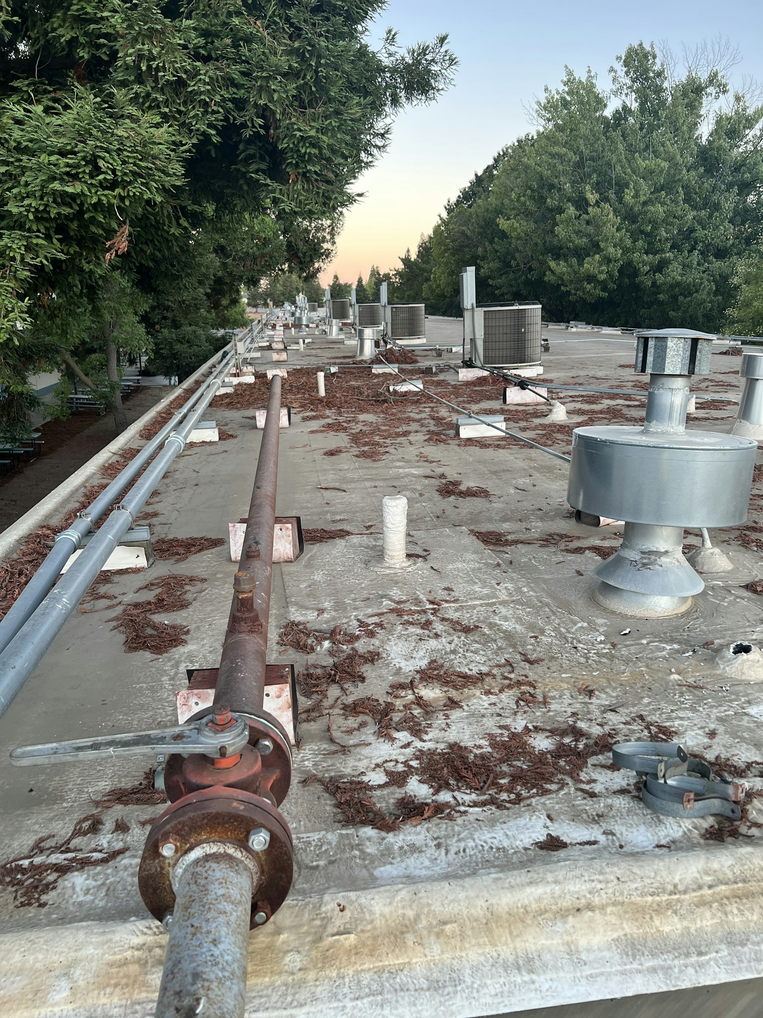 Rooftop with rusty pipes and scattered vents surrounded by lush trees at dusk, conveying an industrial yet tranquil outdoor setting.