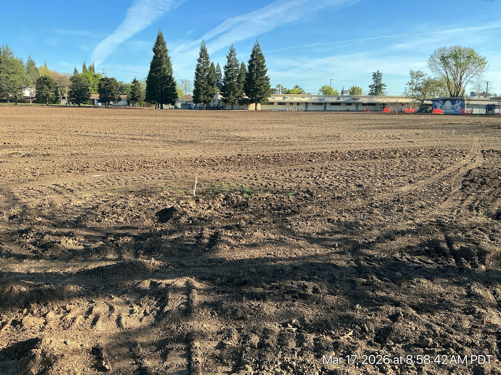 A cleared, brown field under a blue sky with some trees and a building in the background. Early spring look.