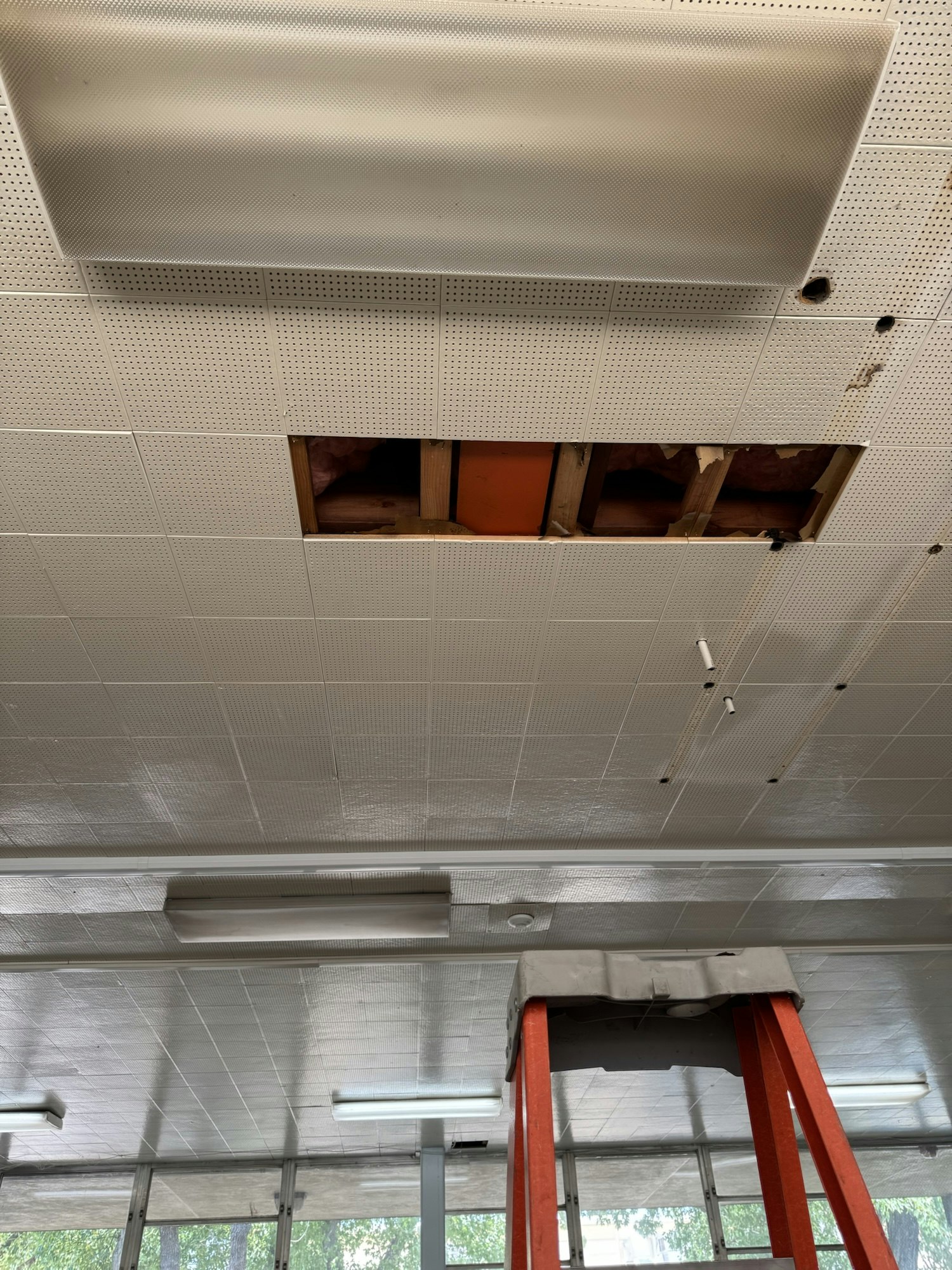 A ceiling with an exposed section, insulation visible, lights installed, and a red ladder beneath.