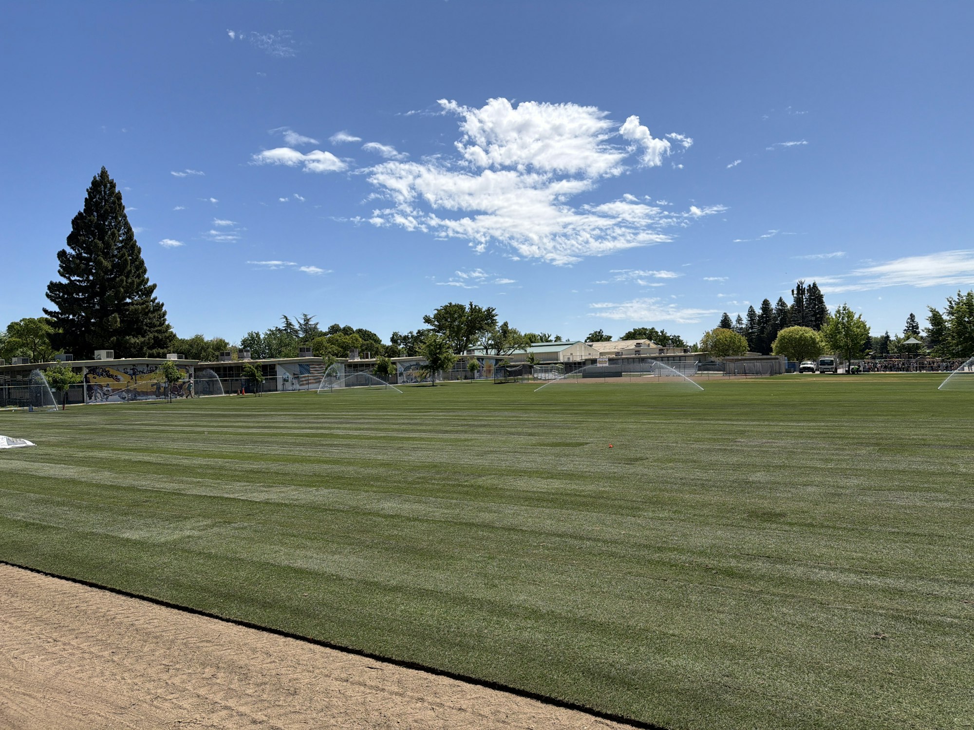 A sunny sports field with freshly mowed grass, sprinklers in action, trees, and buildings in the background.