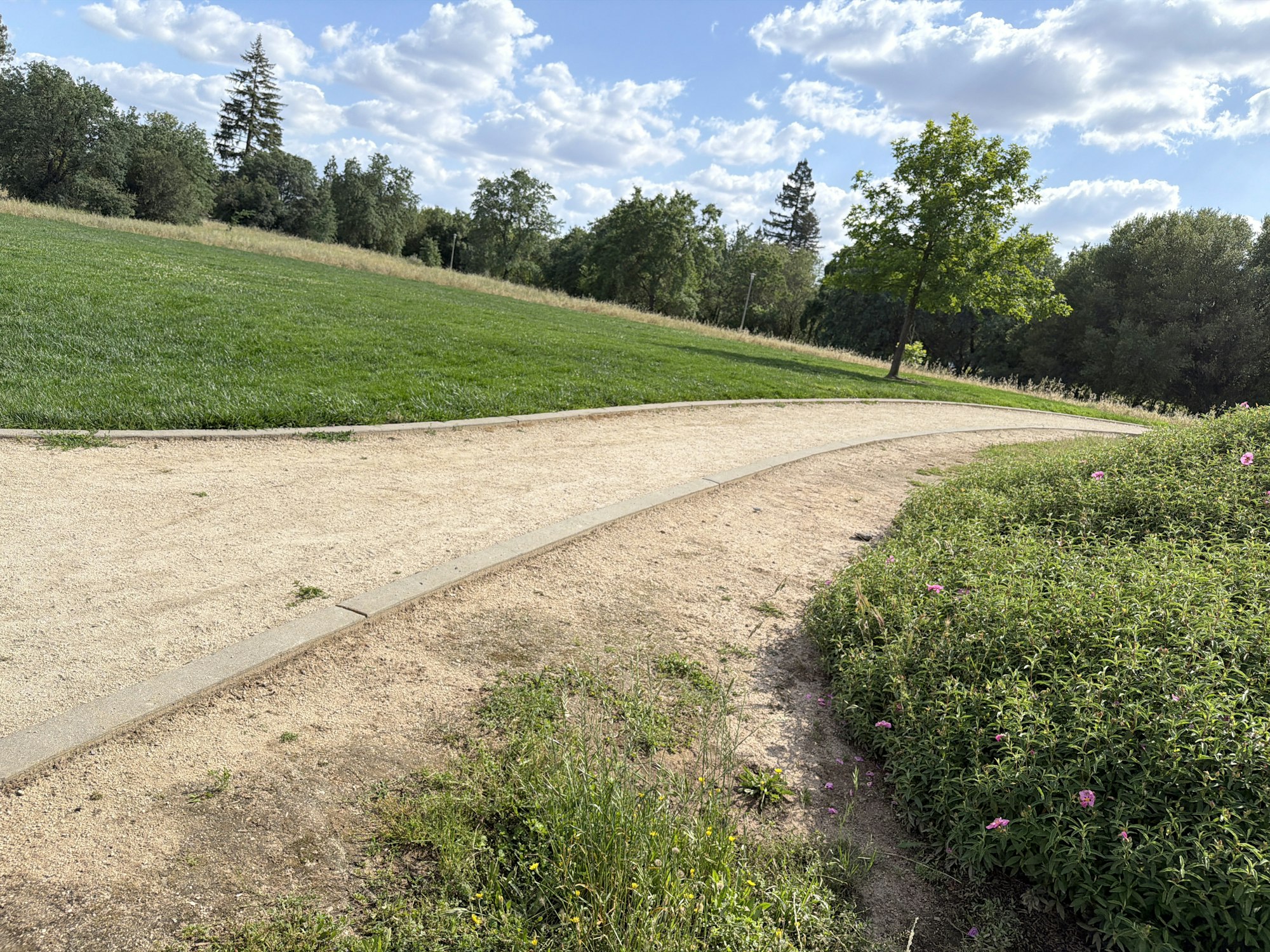 A winding path through a grassy field, bordered by flowers and trees, under a partly cloudy sky.