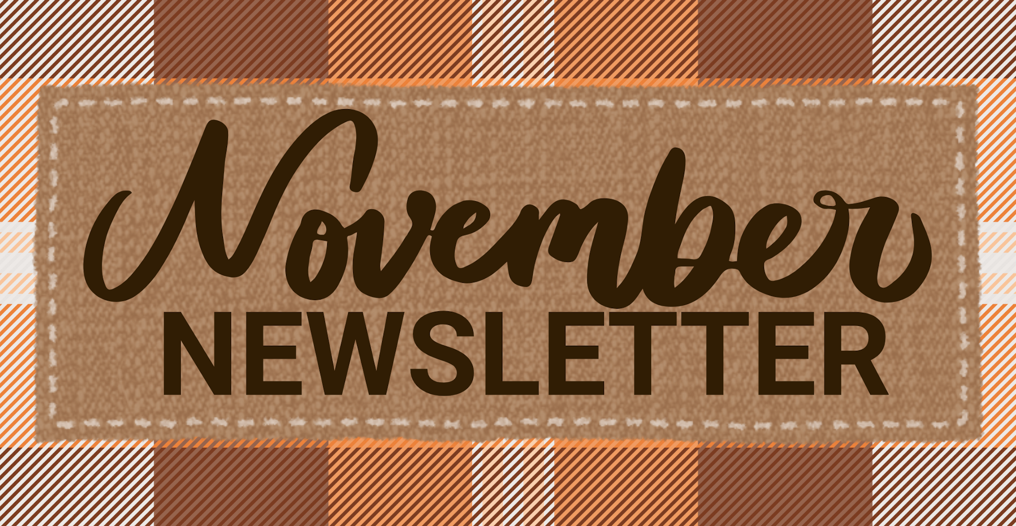 A graphic with the text "November Newsletter" set against a patterned background.