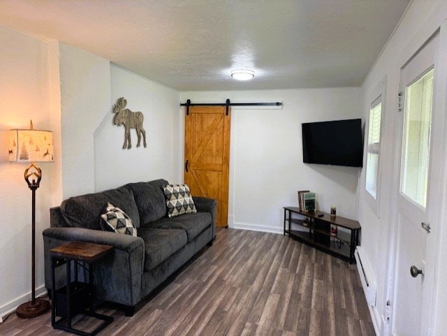 Cozy living room with a gray sofa, geometric pillows, wood flooring, sliding barn door, TV, moose wall decor, and floor lamp.