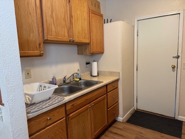 A kitchen with wooden cabinets, double sink, countertop, dish rack, paper towel, and a closed door.