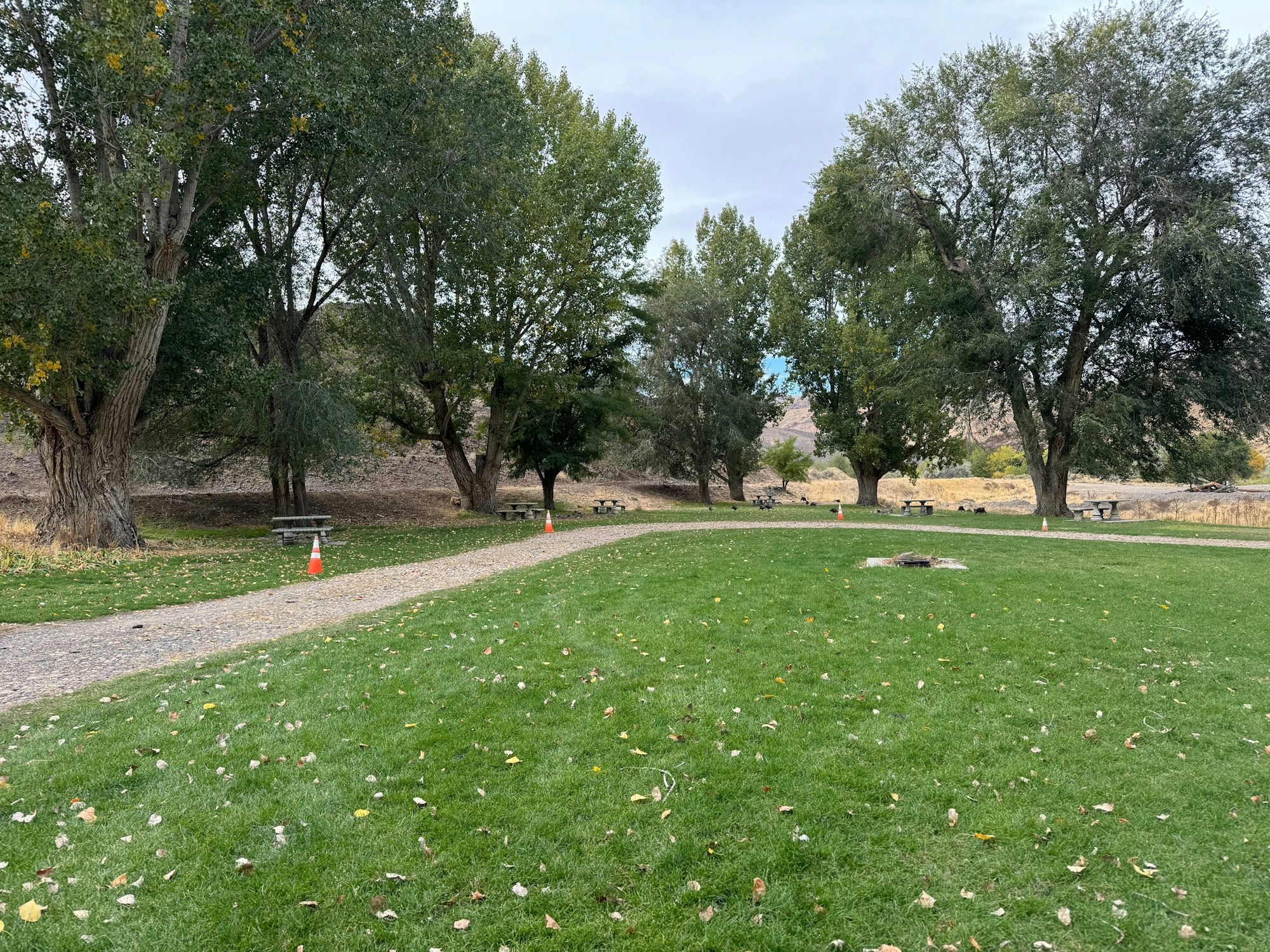 A serene park with a gravel path, trees, grass, picnic benches, and some safety cones.