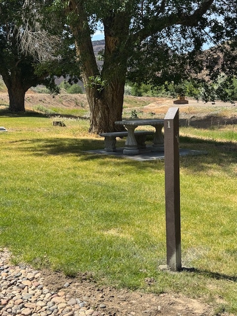 A grassy area with trees, a brown post, and a concrete bench.