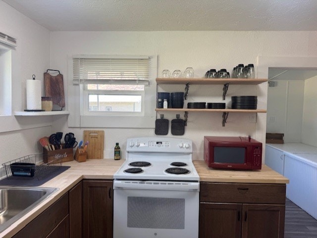 A kitchen with a stove, microwave, sink, shelves with dishes and glasses, utensils, and a roll of paper towels by a window.