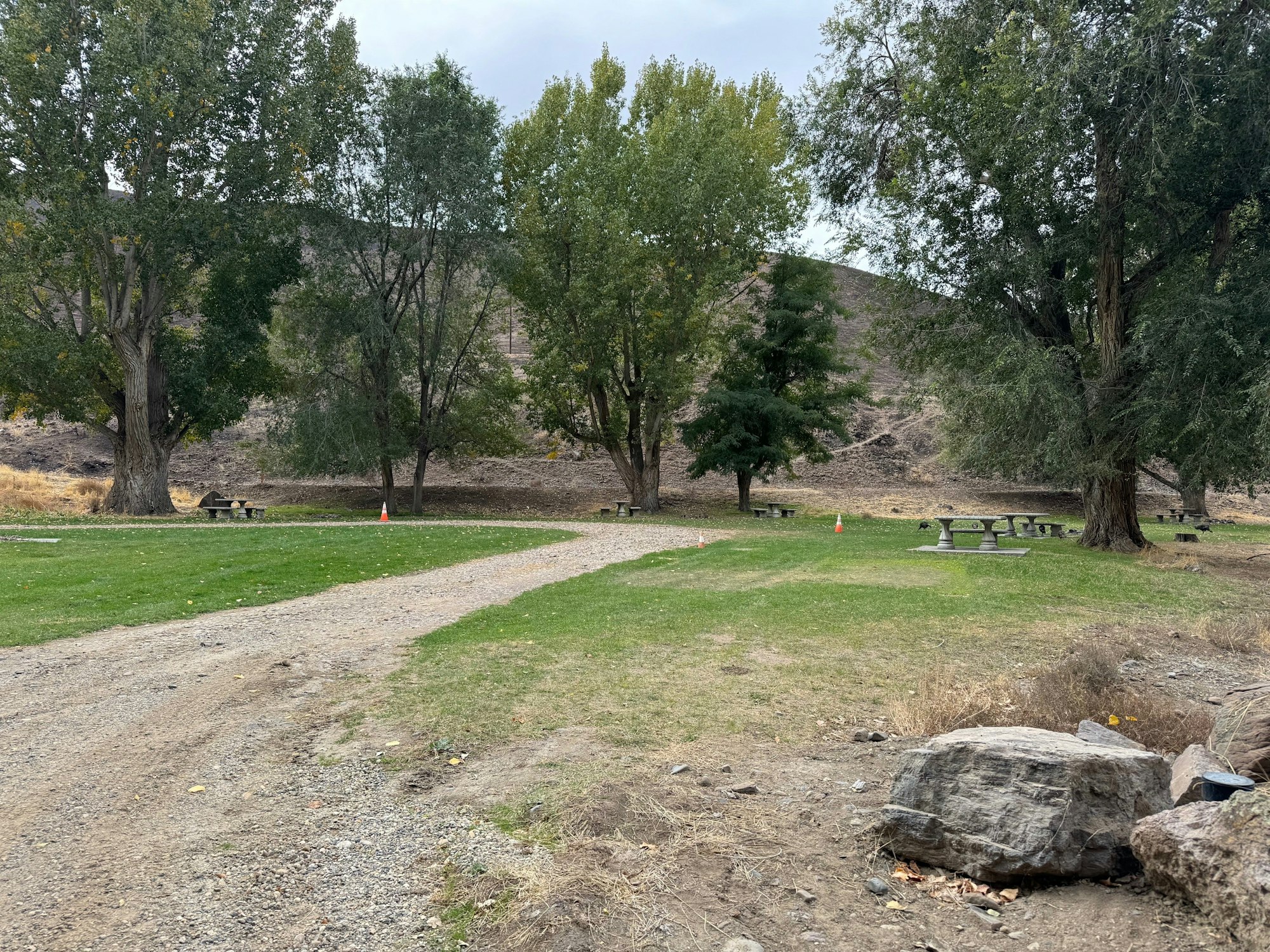 A tranquil park setting with trees, picnic benches, a winding path, and a hill in the background.