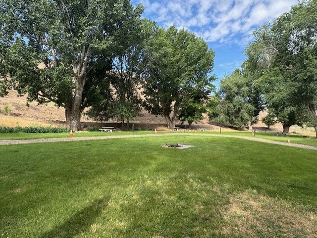 A grassy park area with trees, benches, and a fire pit surrounded by a dirt path under a partly cloudy sky.
