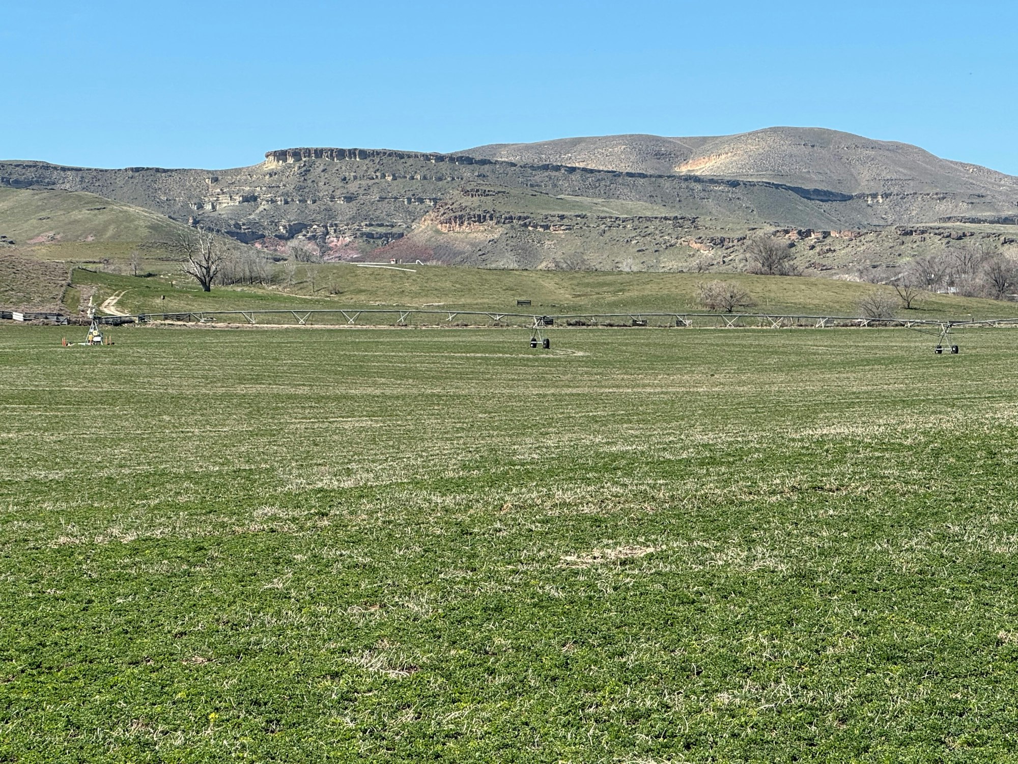 A green field with sprinklers, a fence, and hills in the background under a clear blue sky.