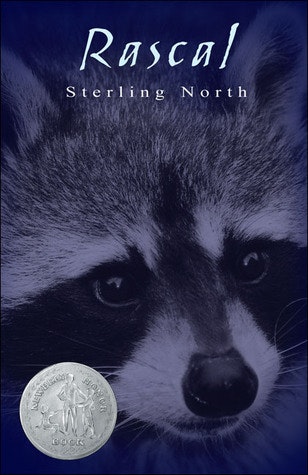 Book cover of "Rascal" by Sterling North featuring a close-up image of a raccoon with a medal on the bottom left.