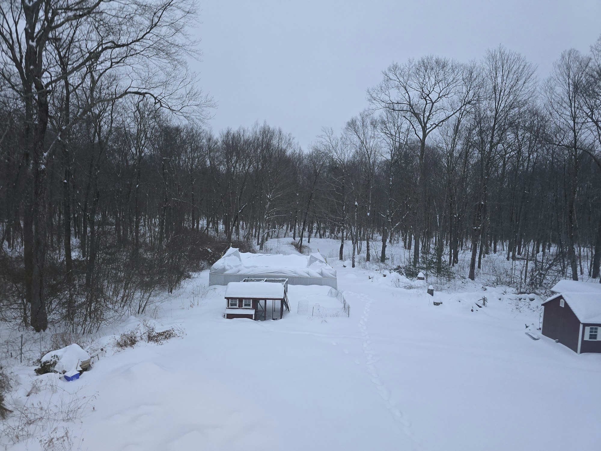 The image shows a snowy landscape with bare trees, a small building, and fabric-covered structures in a winter setting.