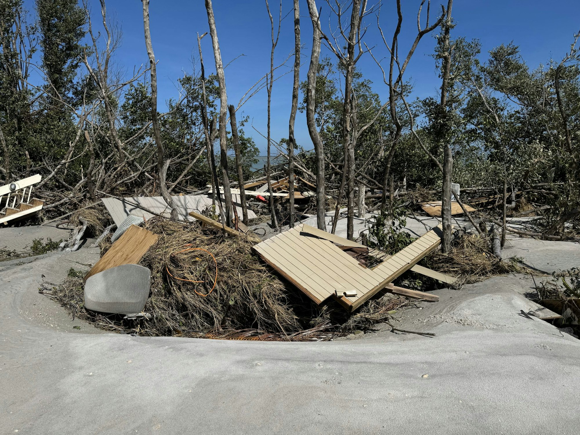 Devastated landscape with damaged trees and debris, likely due to a natural disaster.