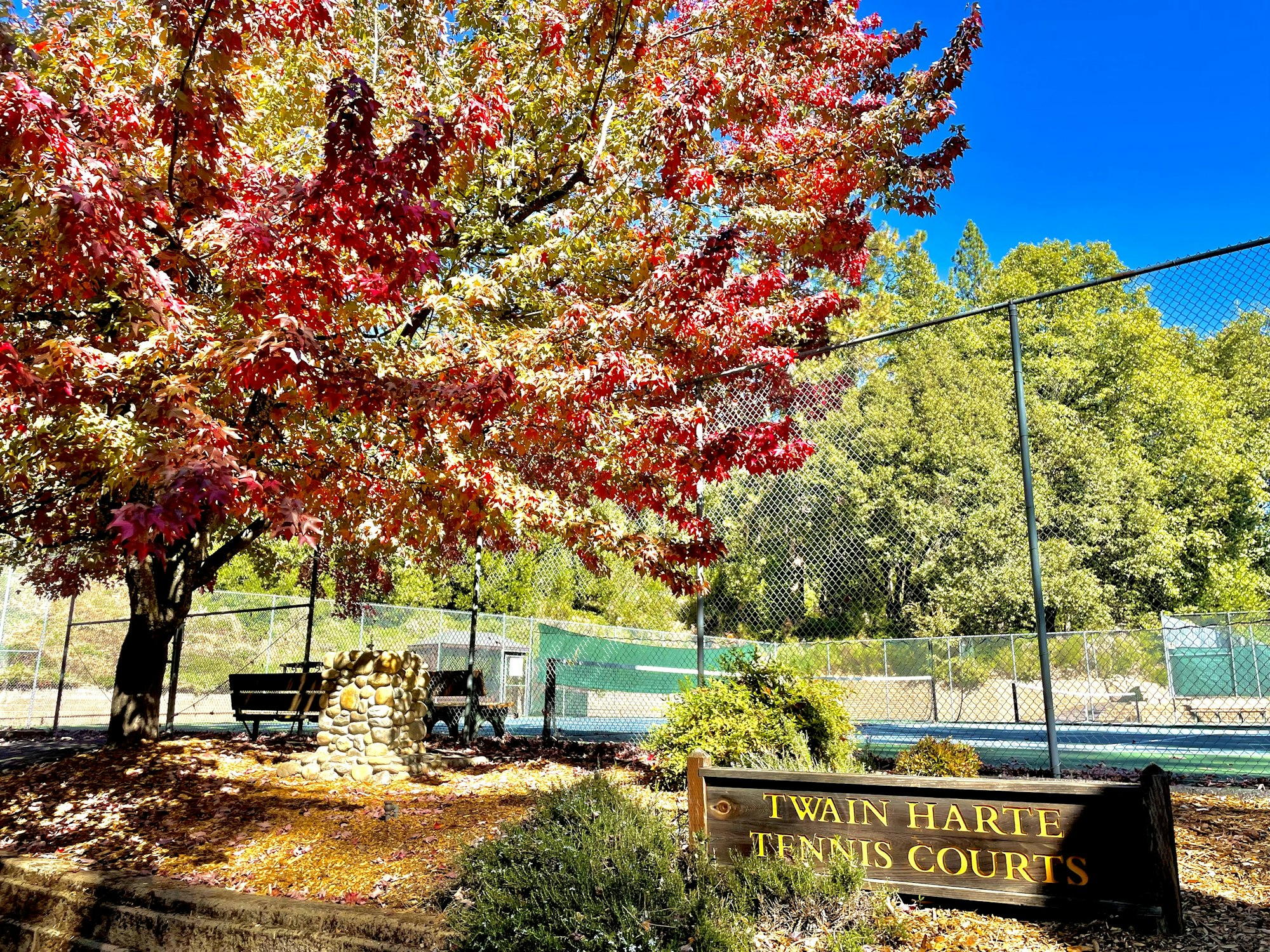Autumn leaves, benches, and a sign reading "Twain Harte Tennis Courts" near a chain-link fence.