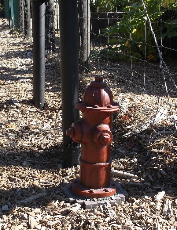 May contain: hydrant and fire hydrant