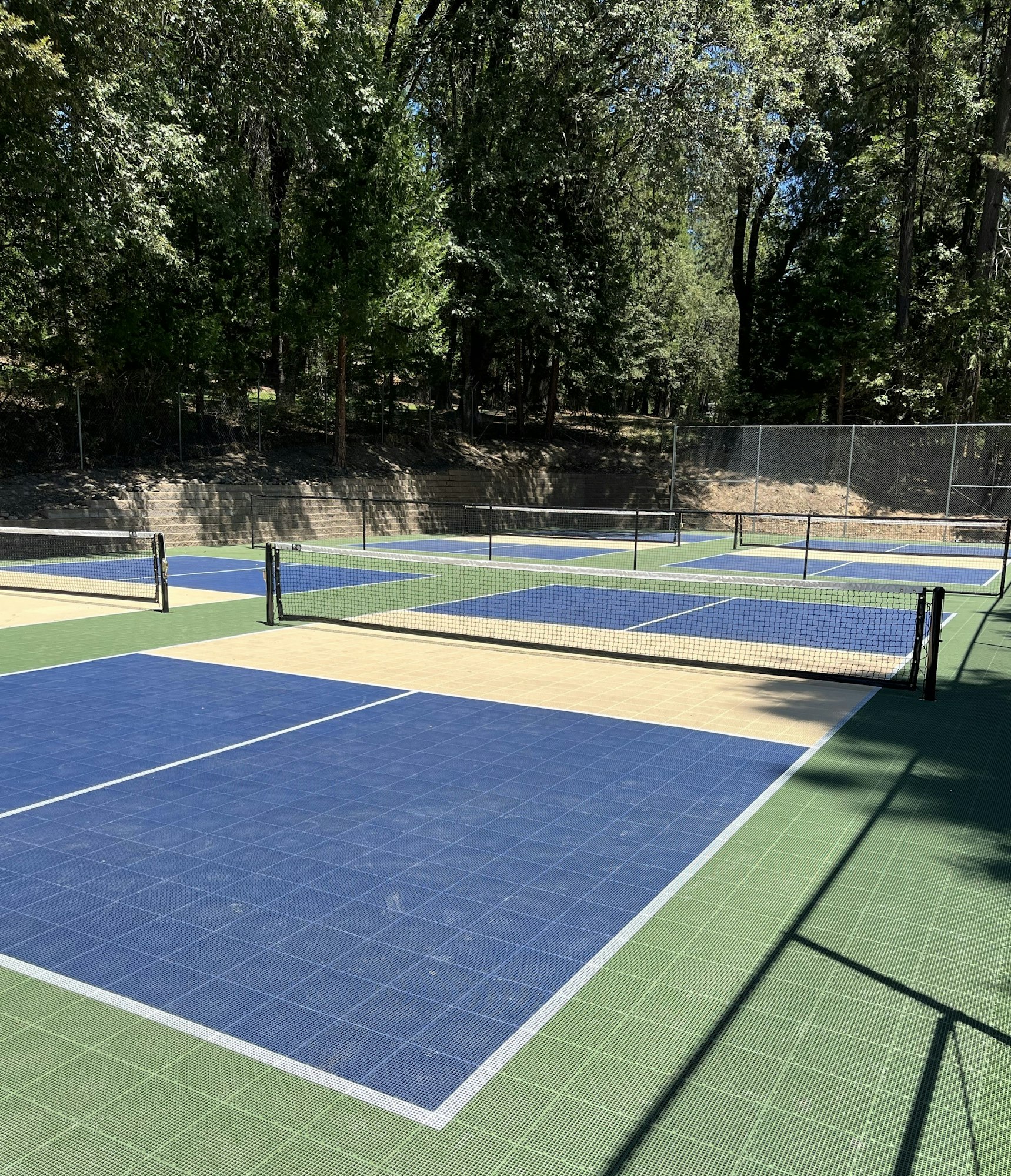 Outdoor pickleball courts with nets, surrounded by trees on a sunny day.