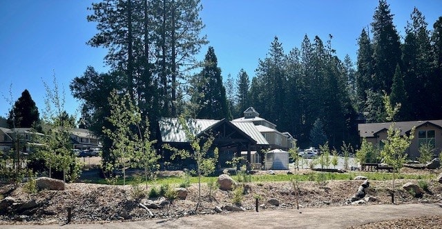 A rustic building among tall trees under a clear blue sky, with young trees and construction debris in the foreground.
