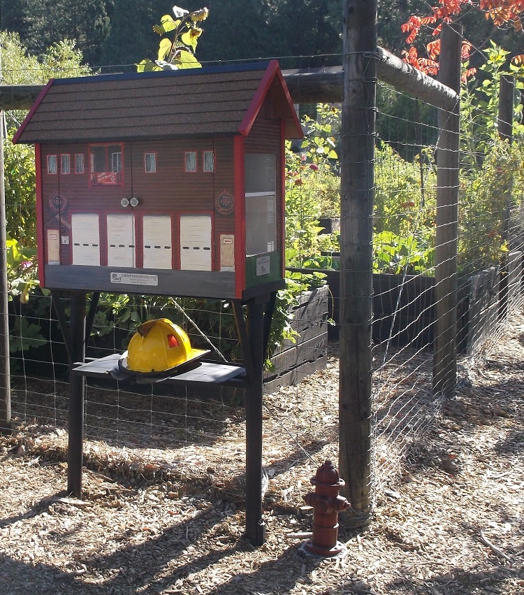 May contain: structure, fence, nature, garden