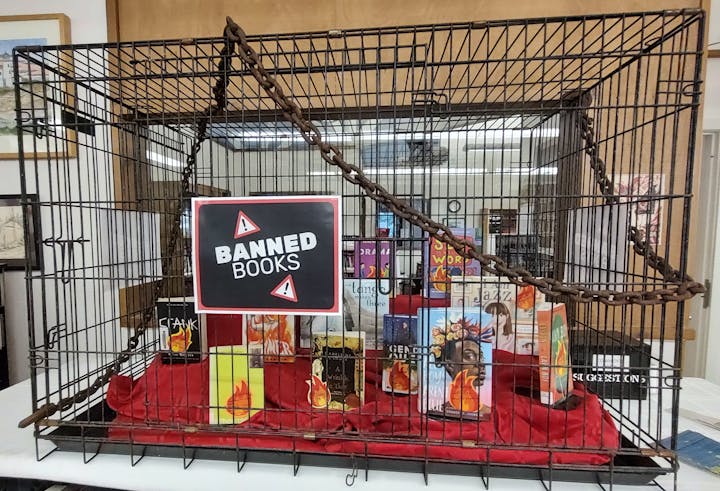 May contain: cage and person