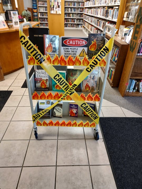 May contain: book, publication, indoors, library, shop, shelf, home decor, rug, and plant