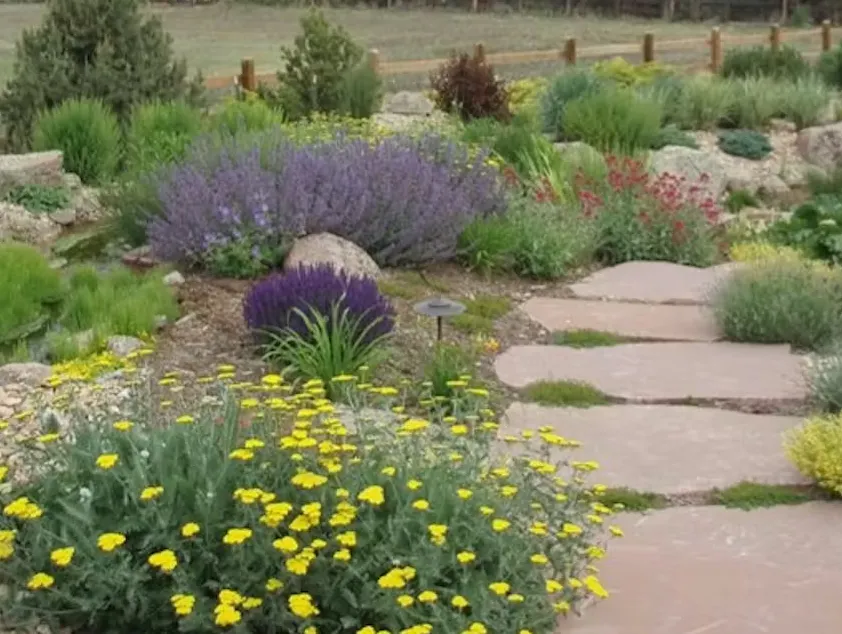 A vibrant garden with colorful flowers, including yellow blooms and lavender, and a stone pathway surrounded by greenery.