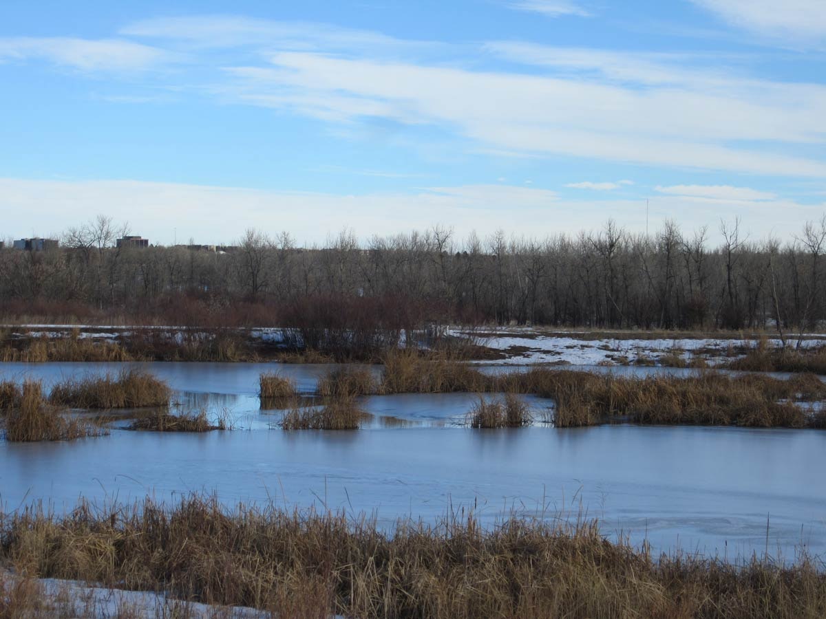 May contain: land, nature, outdoors, swamp, water, and pond