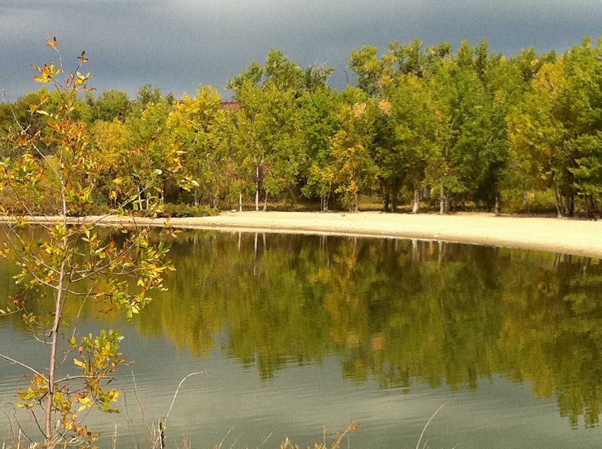 May contain: scenery, nature, outdoors, pond, water, vegetation, plant, tree, land, lake, woodland, and grove