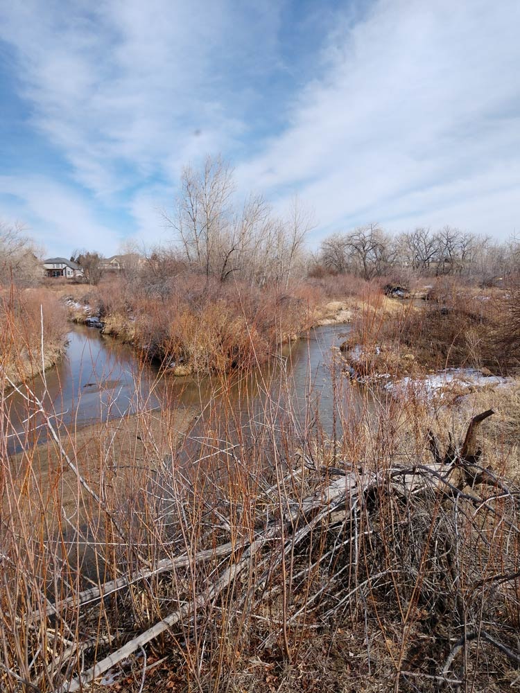 May contain: land, outdoors, nature, swamp, water, pond, and scenery