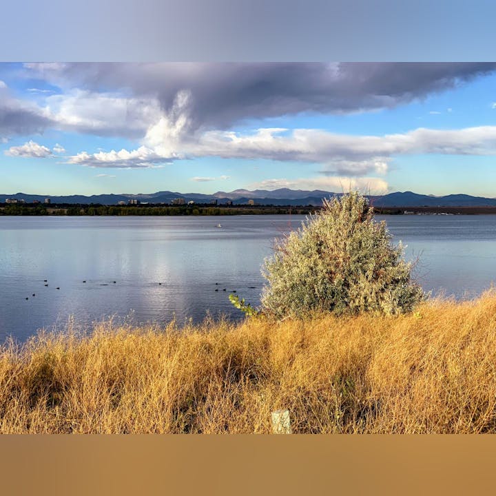 May contain: nature, outdoors, scenery, water, sky, lake, and plant