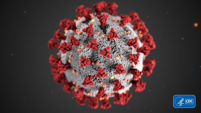 Image of Coronavirus Disease 2019 (COVID-19)