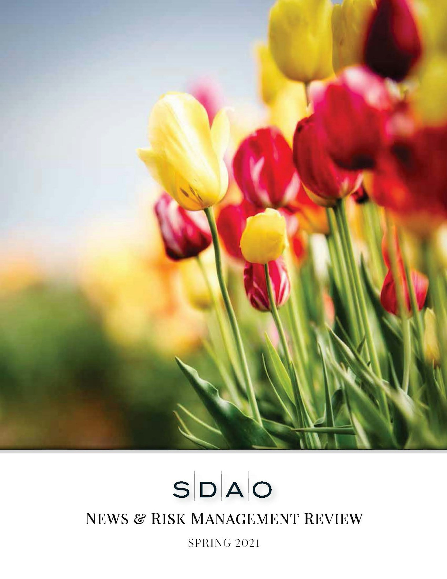 May contain: plant, flower, blossom, and tulip; Text: SDAO News & Risk Management Review, Spring 2021